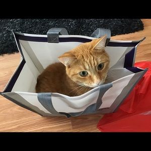 Meet your Posher, Karen